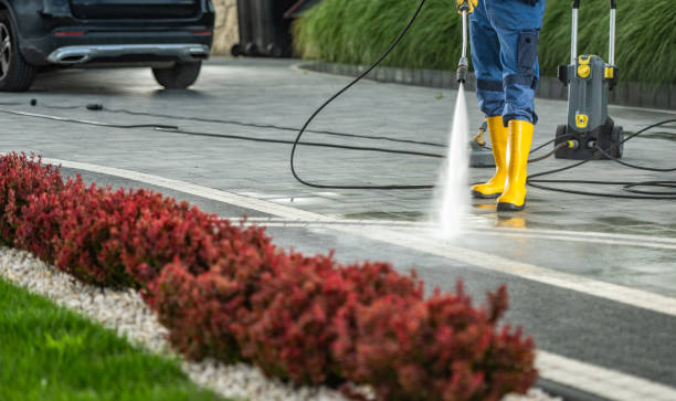 Best Roof Pressure Washing  in Greensboro, MD